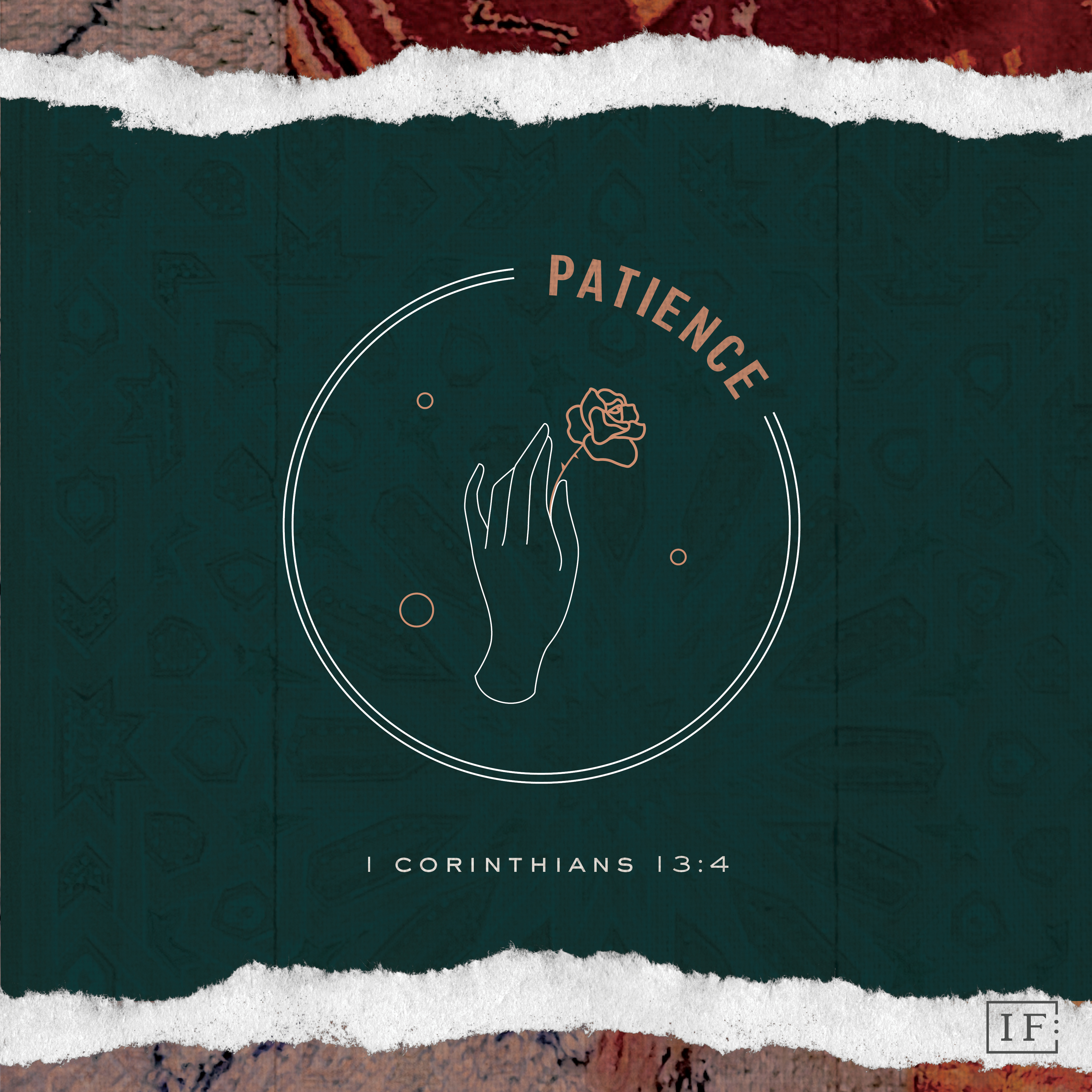 Patience Book Cover
