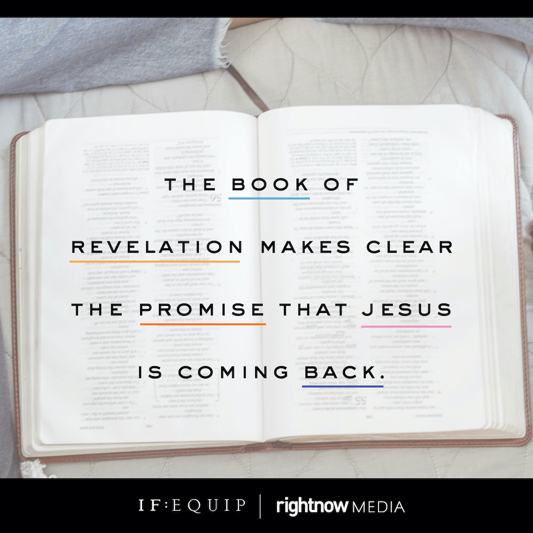 The Book of Revelation Book Cover